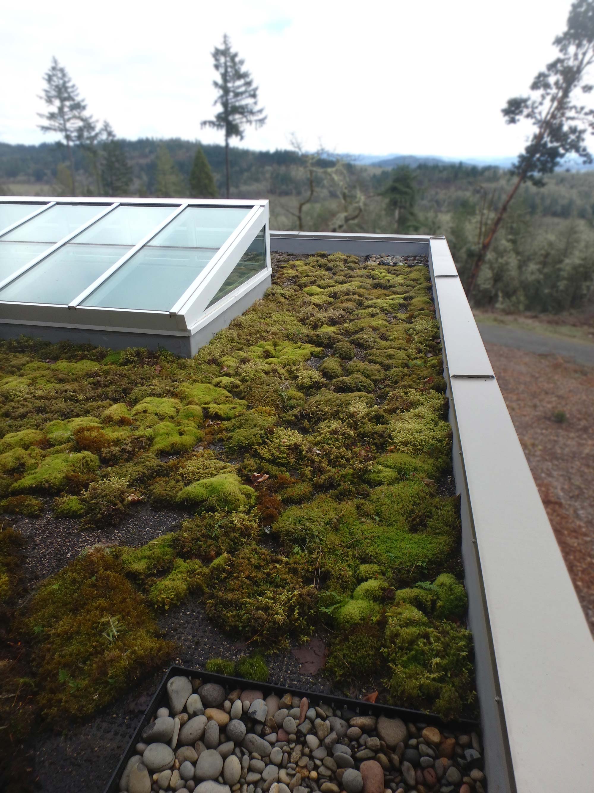 TIMBERIDGE_PoolHouseGreenRoof
